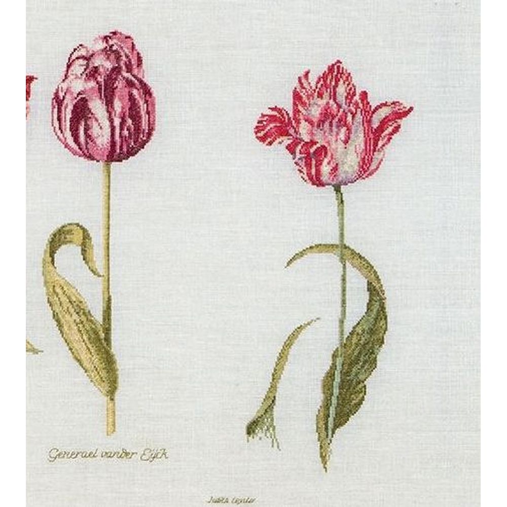 Thea Gouverneur 786  kit point de croix compté  Tulipes  1