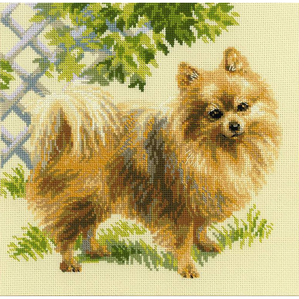 RIOLIS  1585  Chien  Poméranien