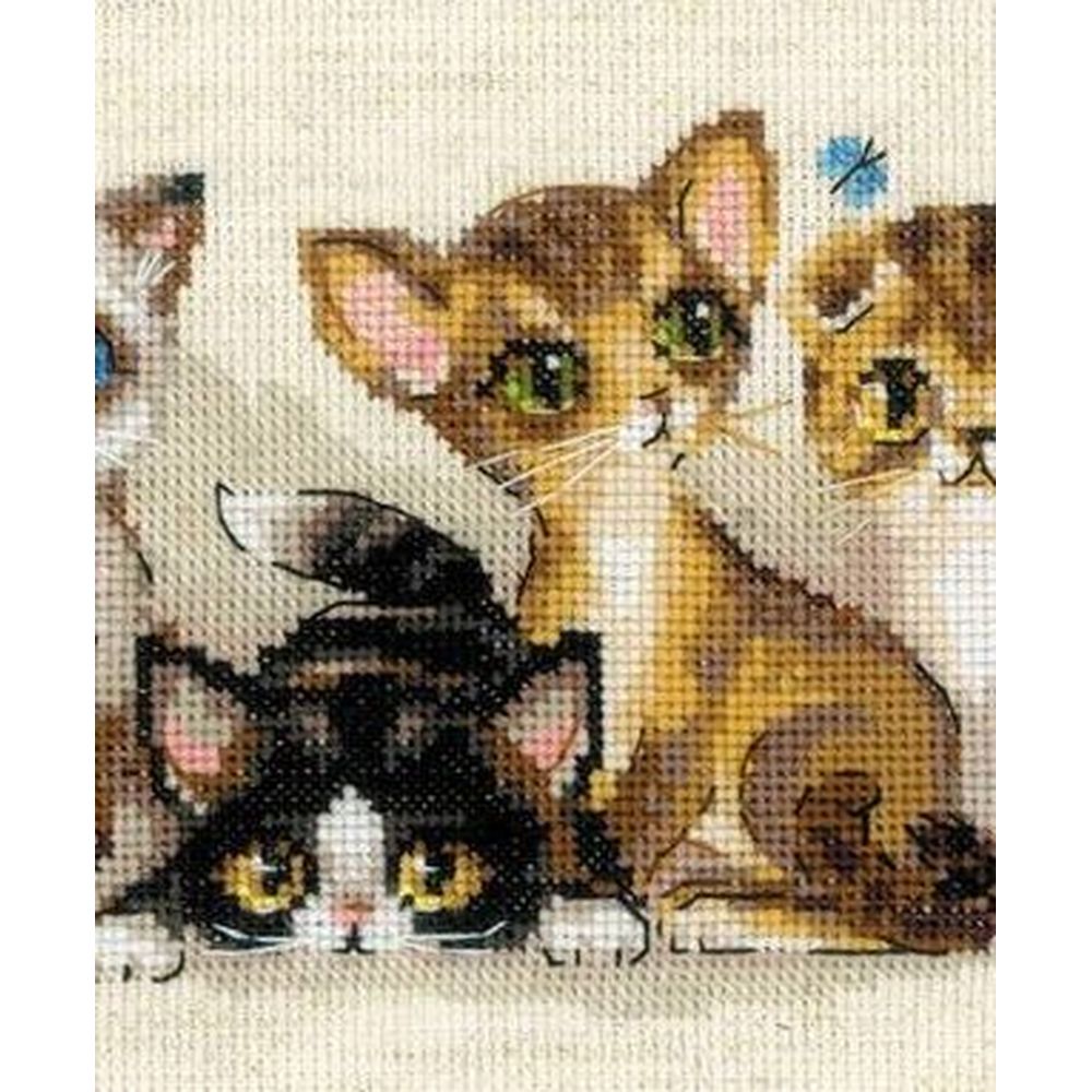 Kit Broderie Point De Croix 'Chats Des Villes En Été' Riolis RI-612 - Toile Aïda 5.5 Pts/cm - Fils Laine/Acrylique