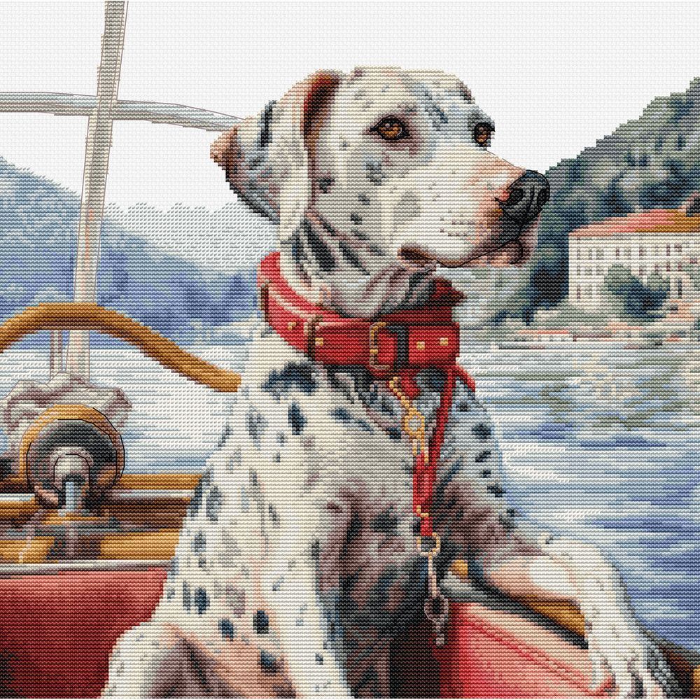 Le Dalmatien sur le lac de Côme  BU5039  Luca-S