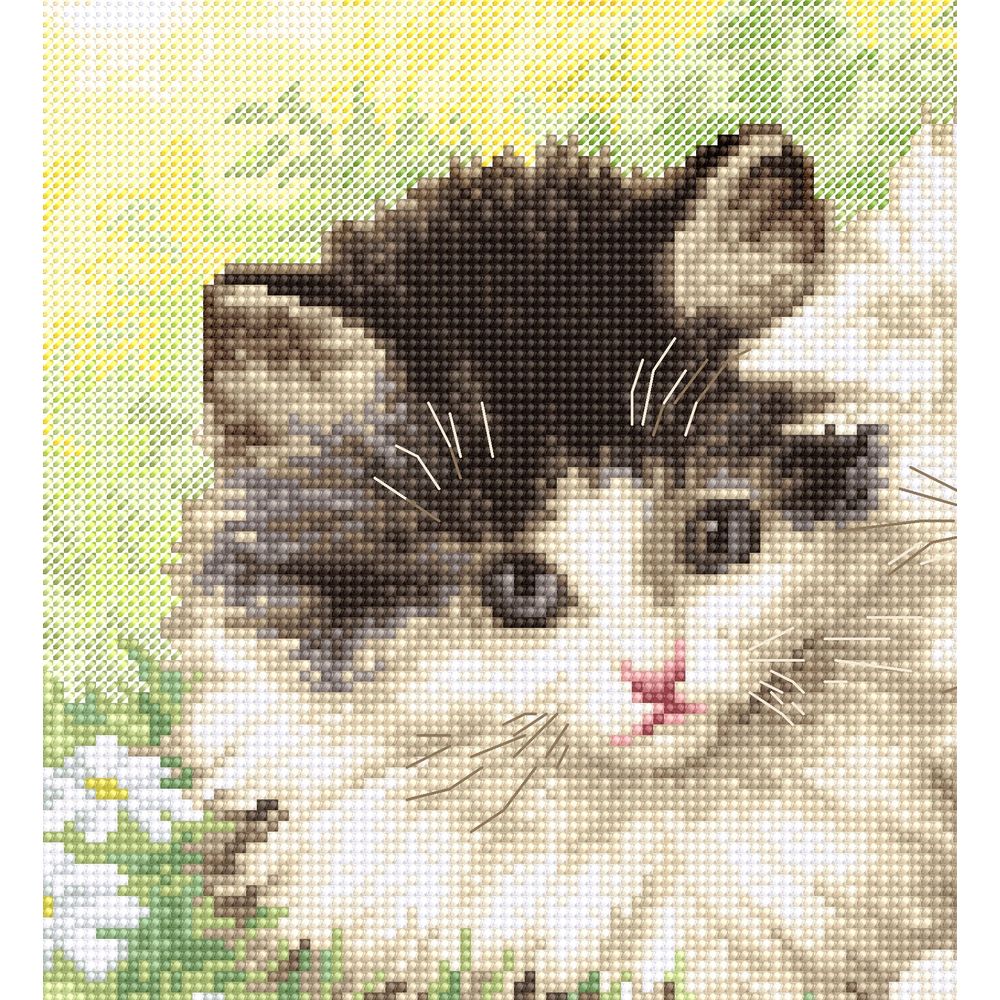 Letistitch 954  kit point de croix compté  Chatons  5