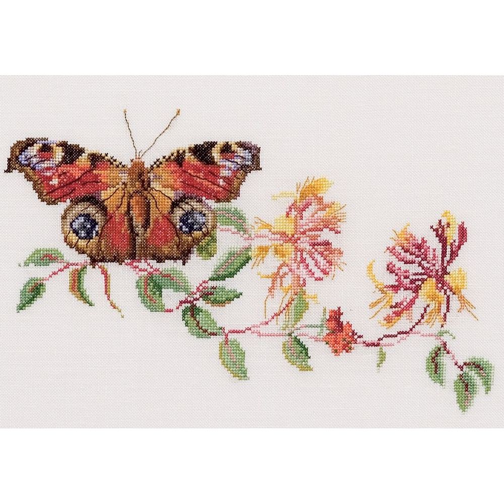 Butterfly Honeysuckle  439 lin  Thea Gouverneur
