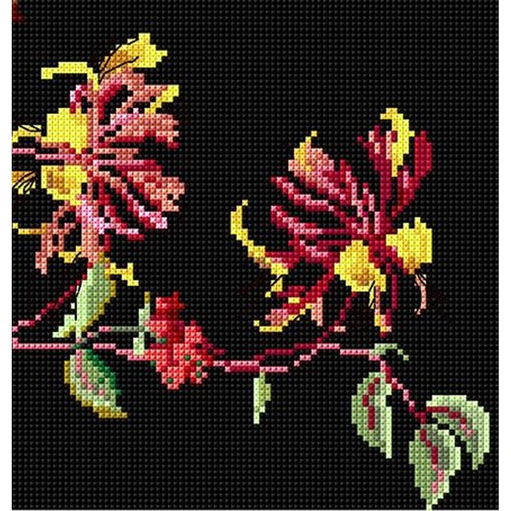 Thea Gouverneur 439-05  papillon  kit point de croix compté  2