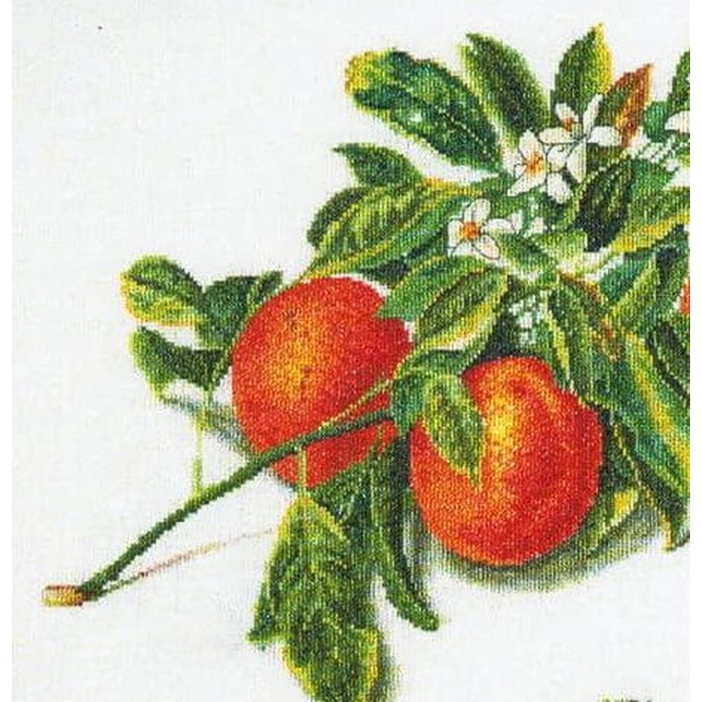Thea Gouverneur 3061  kit point croix  Orange et Mandarine  2