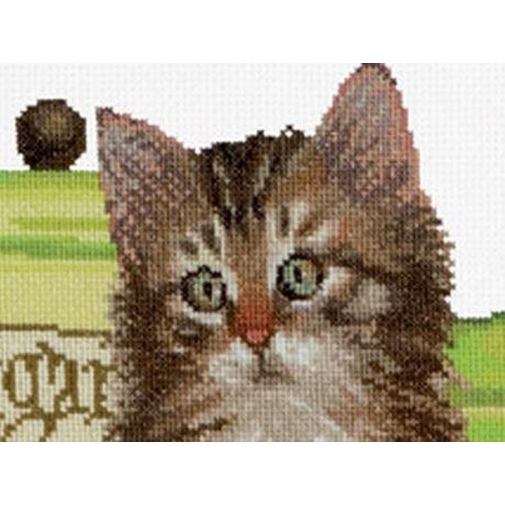 Thea Gouverneur 735  kit point de croix compté  Cookie time  3