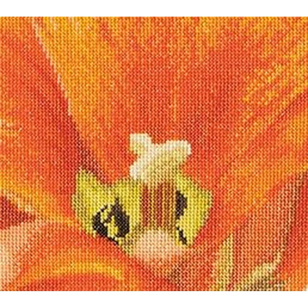 Thea Gouverneur  523  kit point croix  compté  Tulipe Orange  3