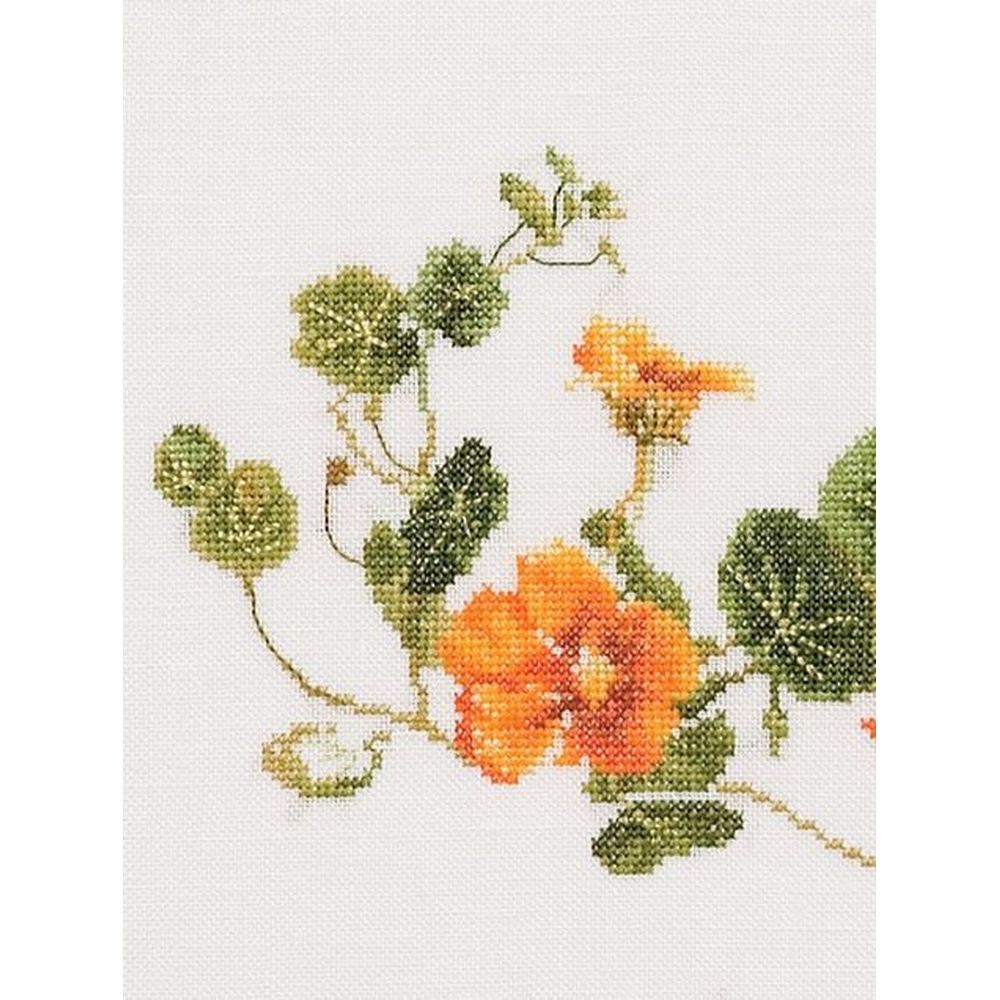 Thea Gouverneur 437  kit point de croix compté  Papillon nasturtium  2