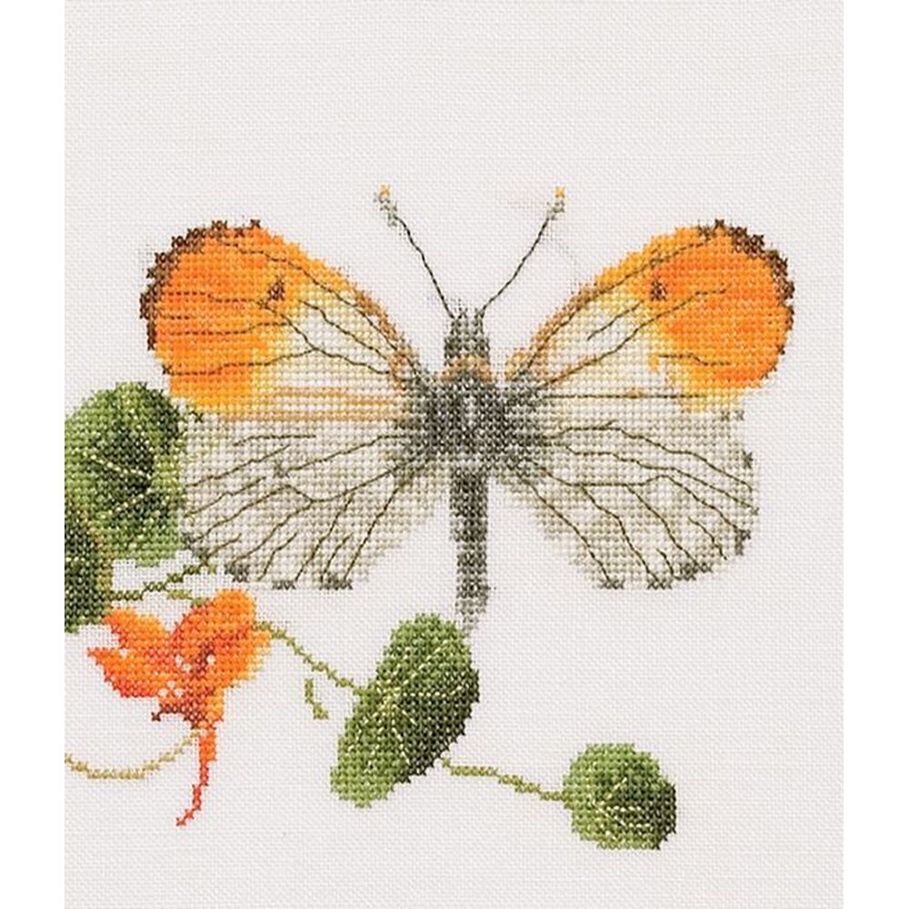 Thea Gouverneur 437  kit point de croix compté  Papillon nasturtium  1