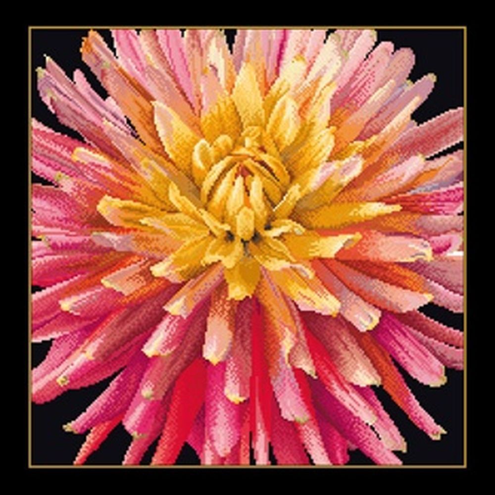 Thea Gouverneur 441-05  kit point croix compté  Dahlia