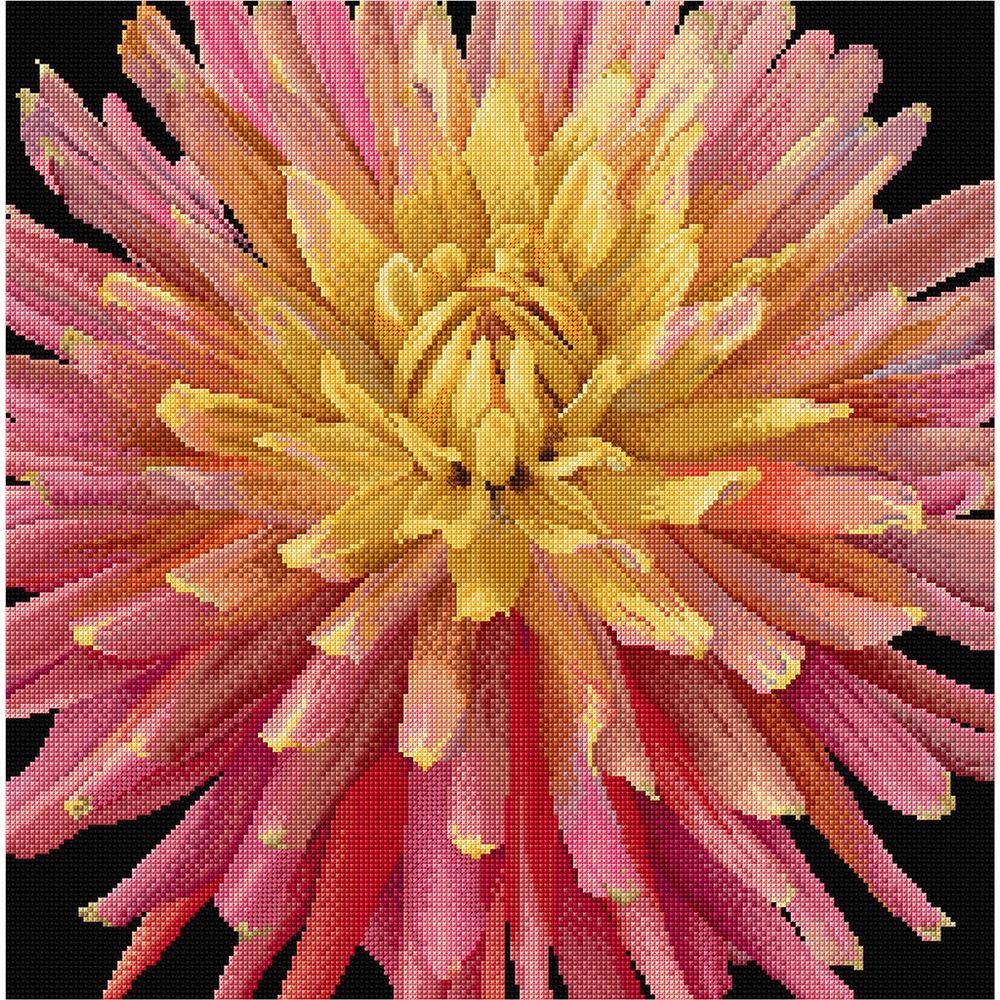 Thea Gouverneur 441-05  kit point croix compté  Dahlia  1