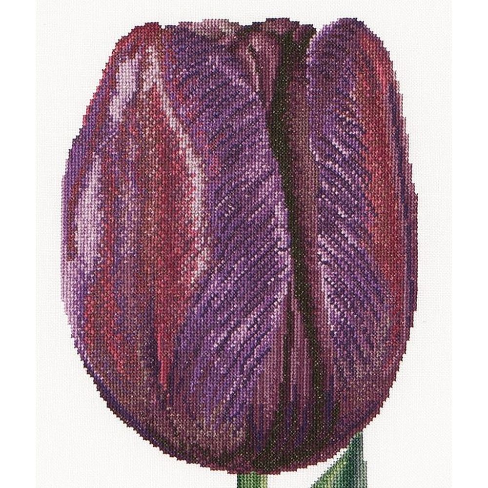 Thea Gouverneur 514  kit point croix compté  Tulipe  1