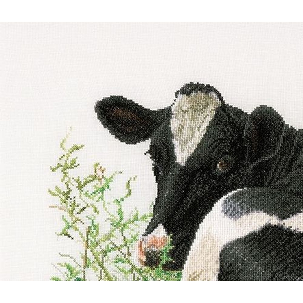 Kit Point De Croix Thea Gouverneur 449A - Vache Marron, Toile Aida, Neuf