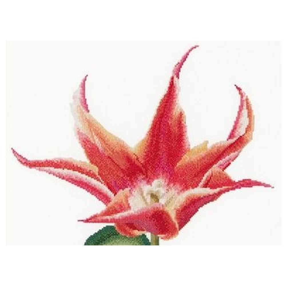 Thea Gouverneur 524  kit point croix compté  Tulipe lys  1