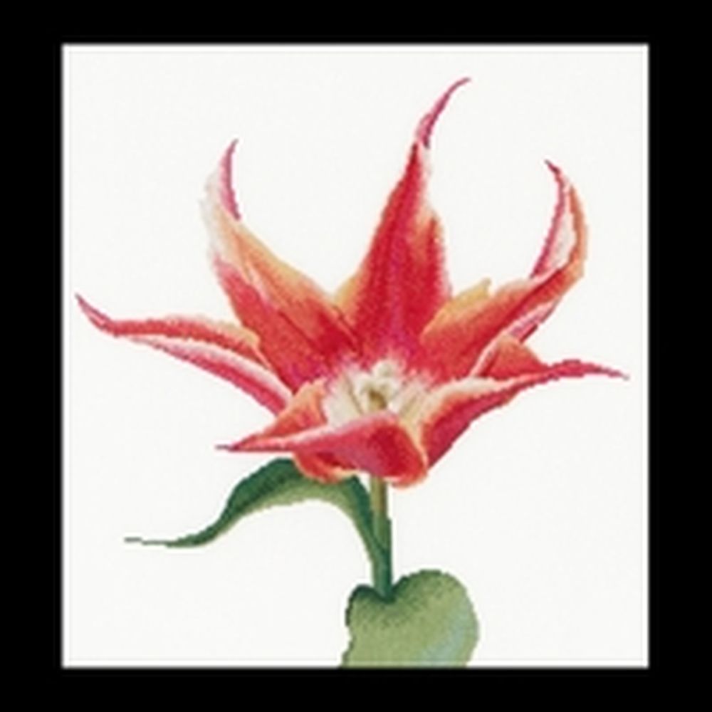 Thea Gouverneur 524  kit point croix compté  Tulipe lys  2