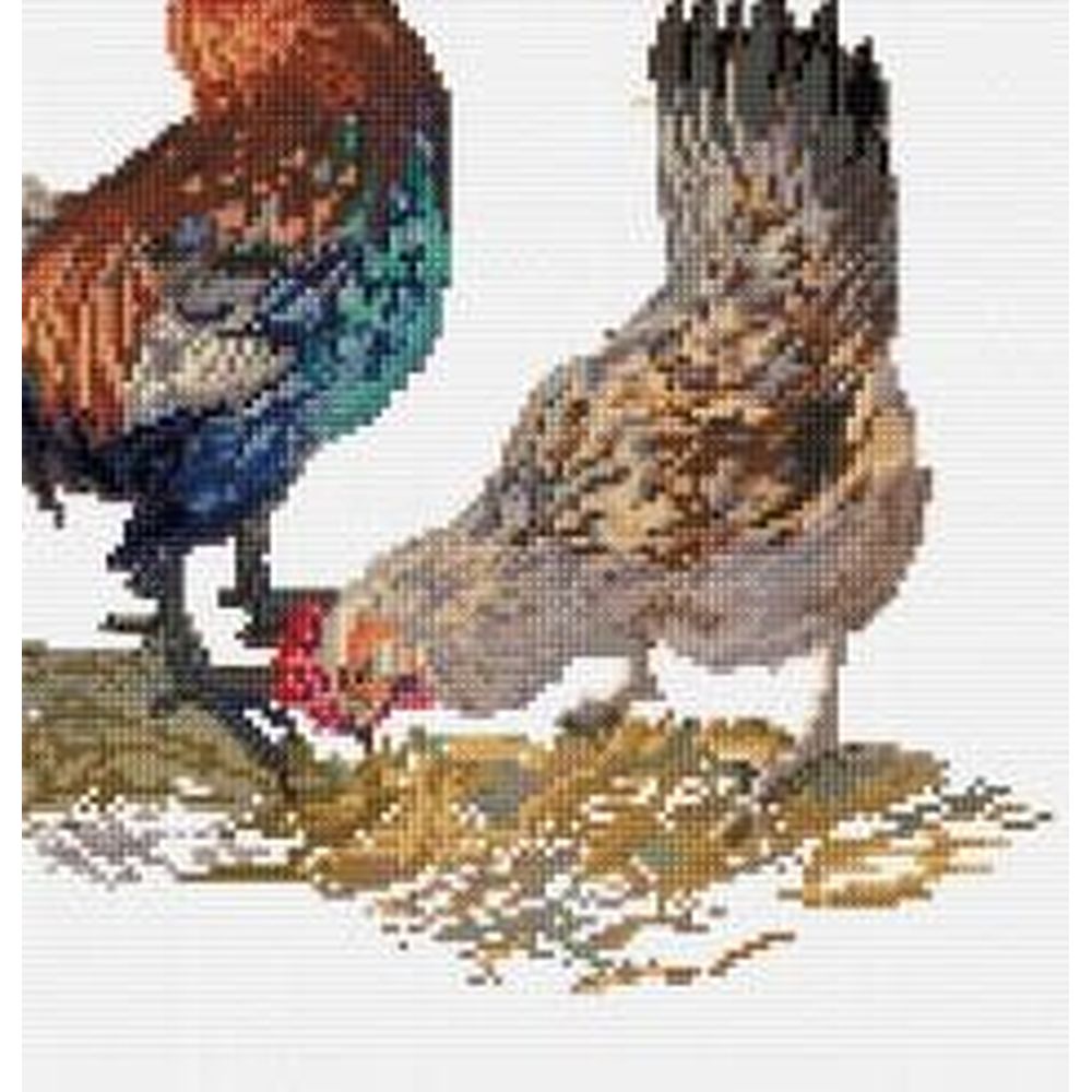 Thea Gouverneur 591  kit point de croix compté  Coq et poule  1