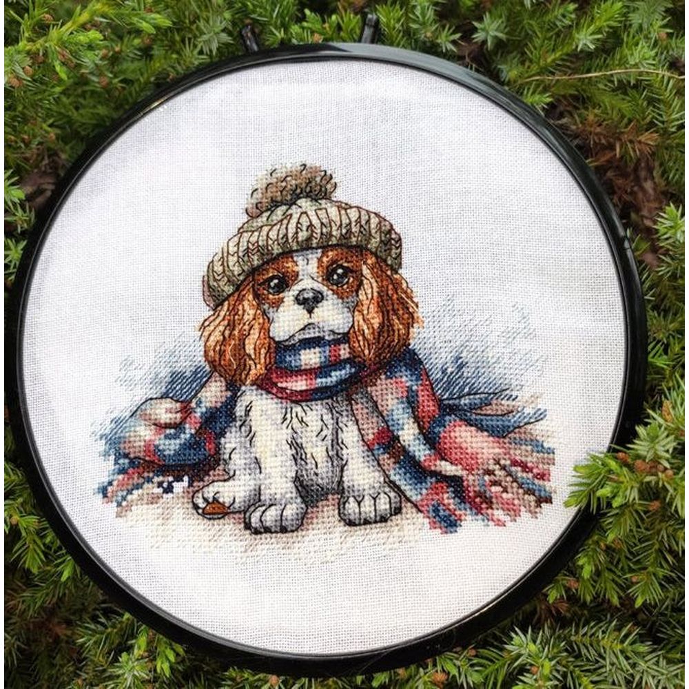 Ava P037  kit de point croix compté  Cavalier King charles  1