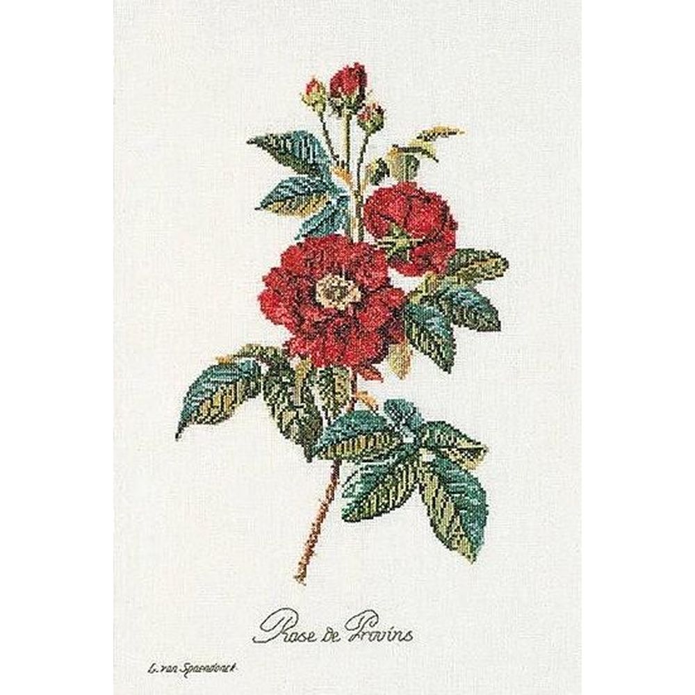 thea-gouverneur-2029-kit-point-de-croix-rose-van-spaendonck