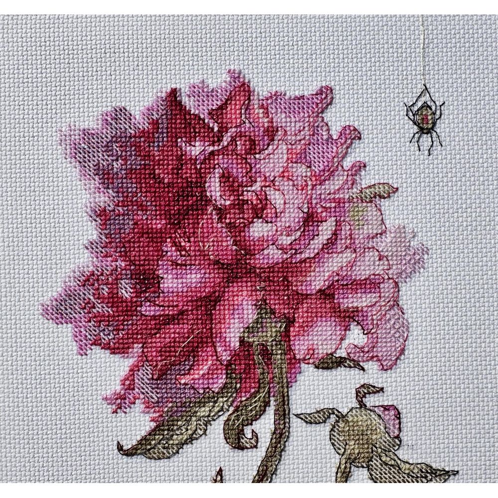 Aine A1008  kit point de croix  Pivoines  4
