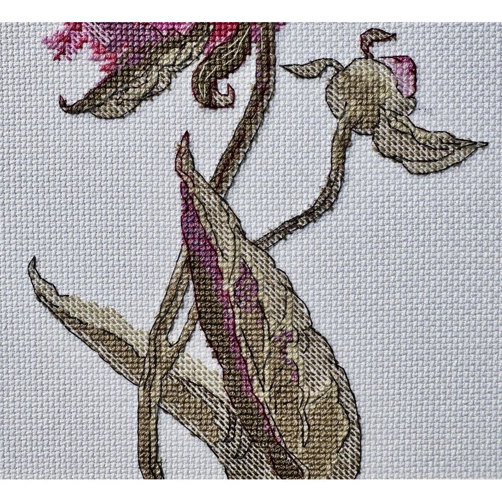 Aine A1008  kit point de croix  Pivoines  5