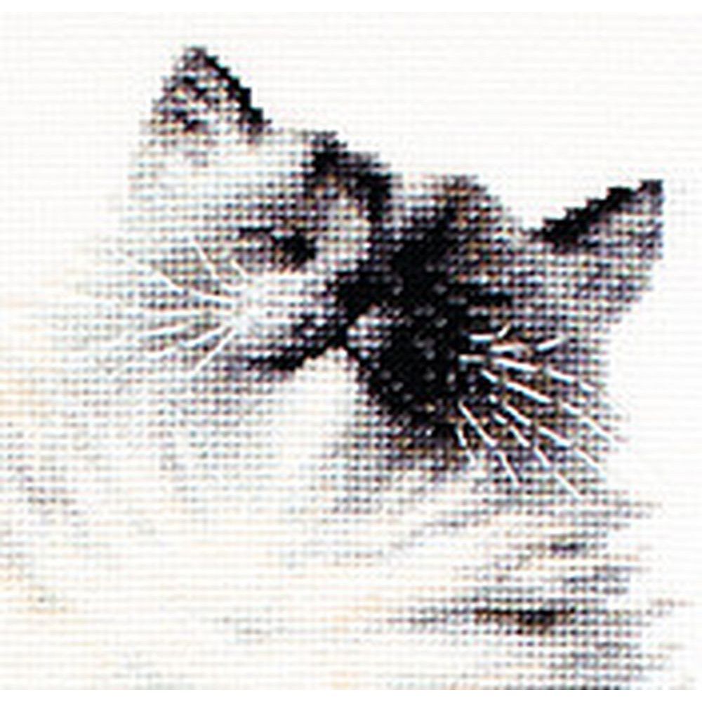 Luca-S B2269  kit point de croix  Chat  Micky   5