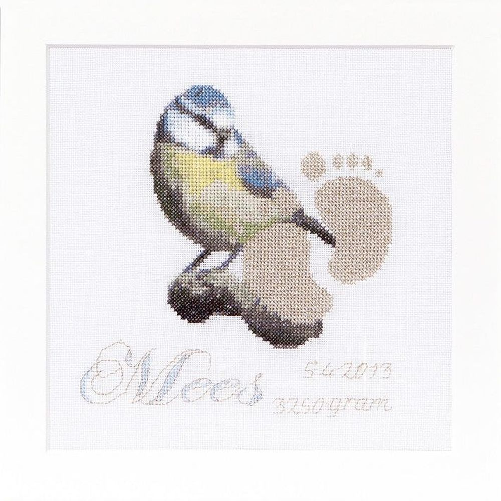 Thea Gouverneur  509 lin  kit point croix  Tableau de naissance  3