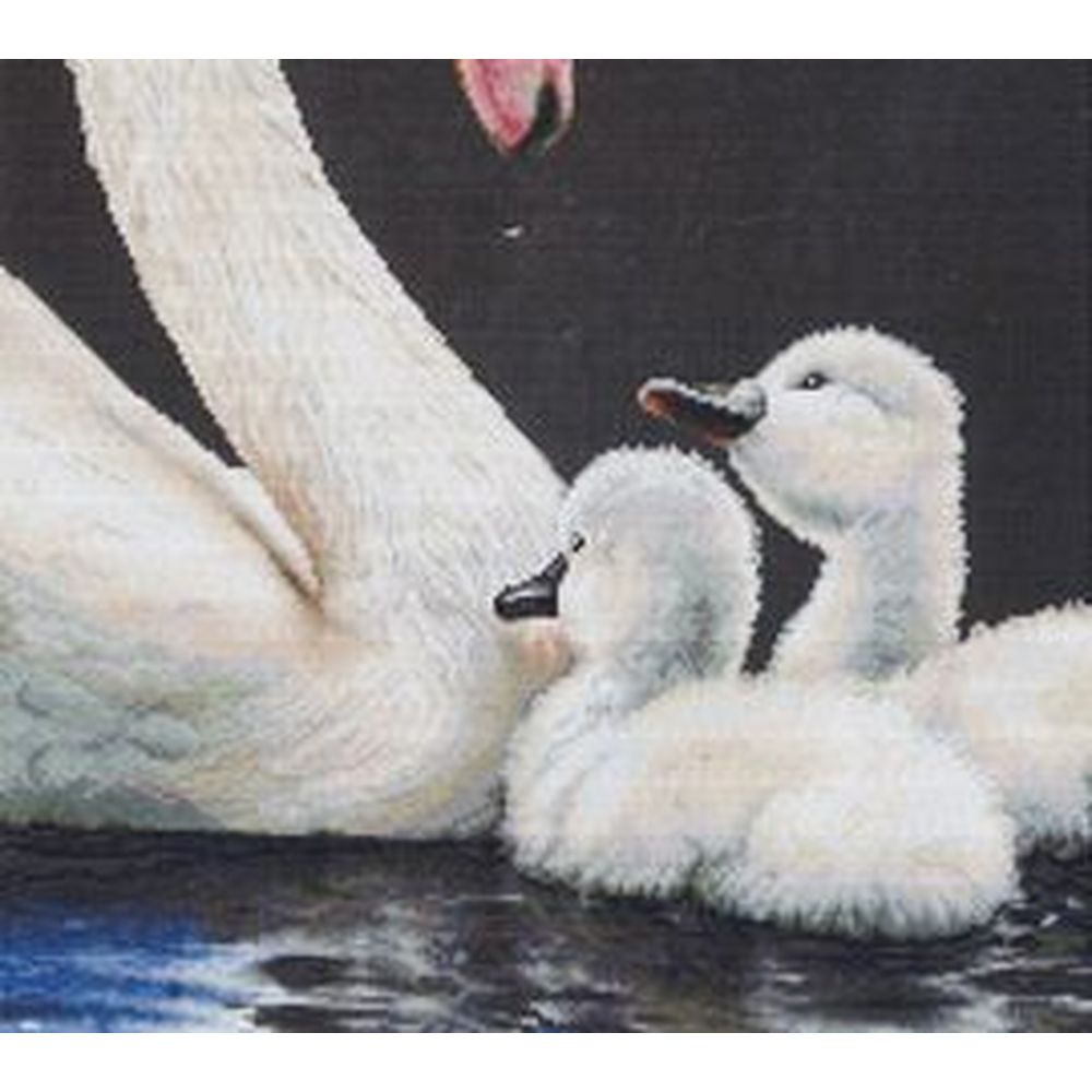 Thea Gouverneur 606-05  kit point croix compté  Cygne  2