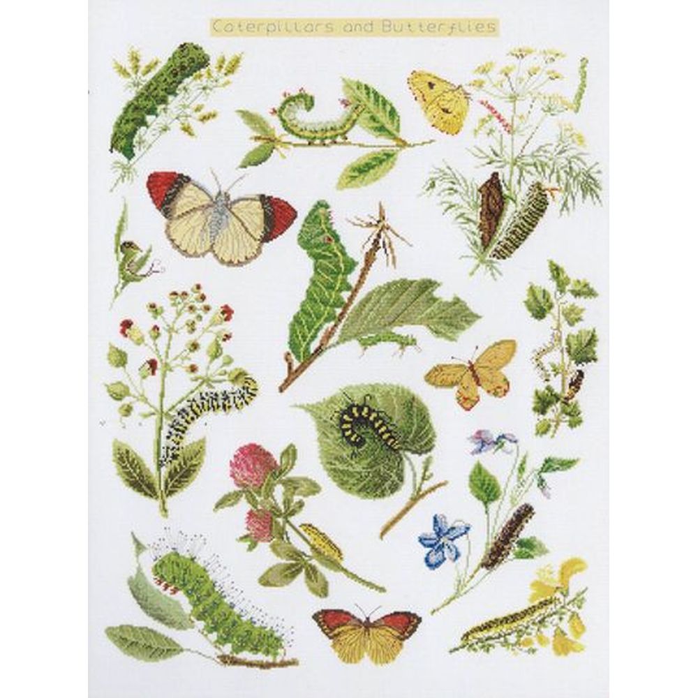 Thea Gouverneur 587  kit point croix compté  Chenilles  Papillons