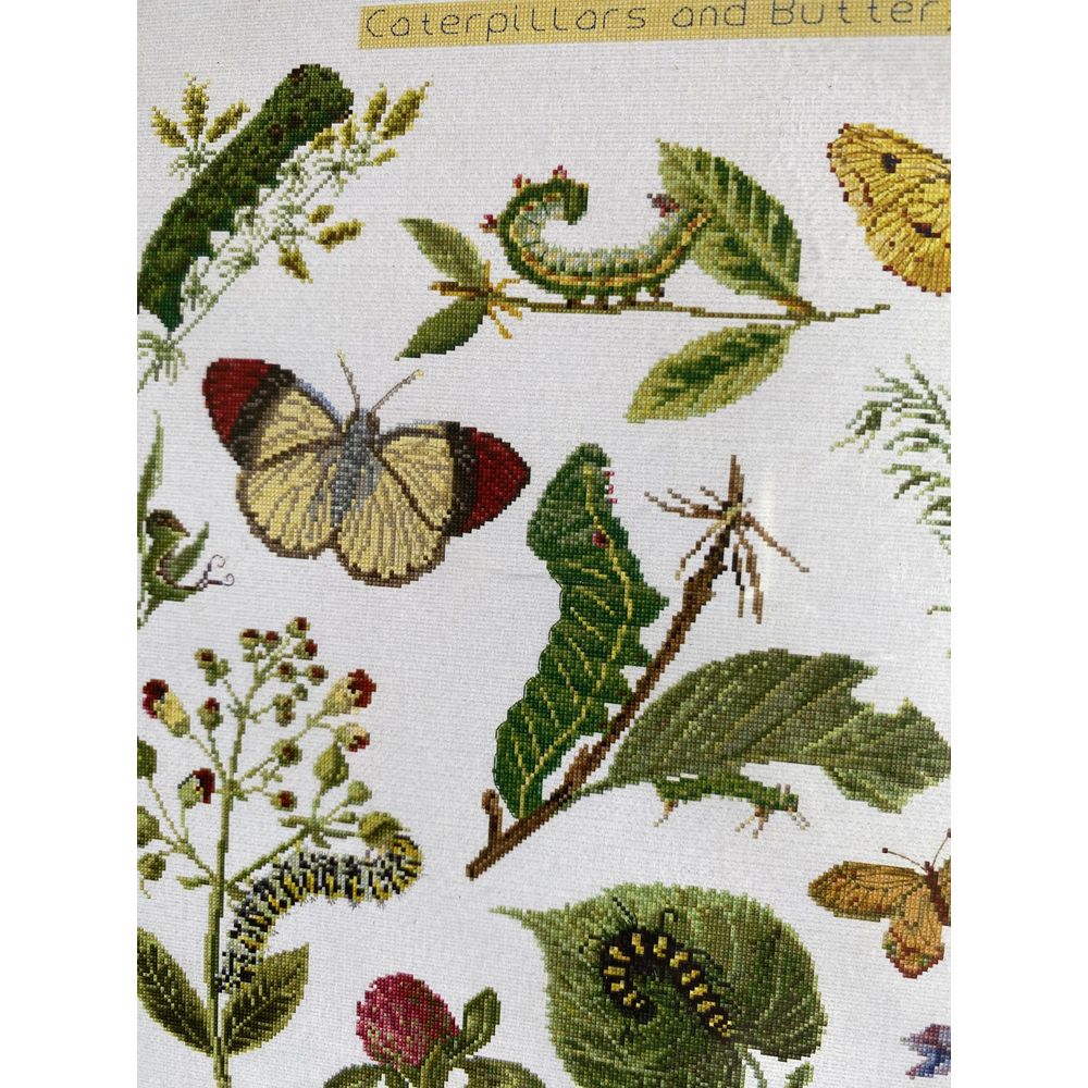 Thea Gouverneur 587  kit point croix compté  Chenilles  Papillons  3