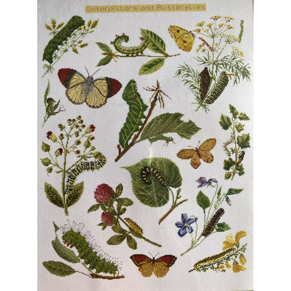 Thea Gouverneur 587  kit point croix compté  Chenilles  Papillons   2
