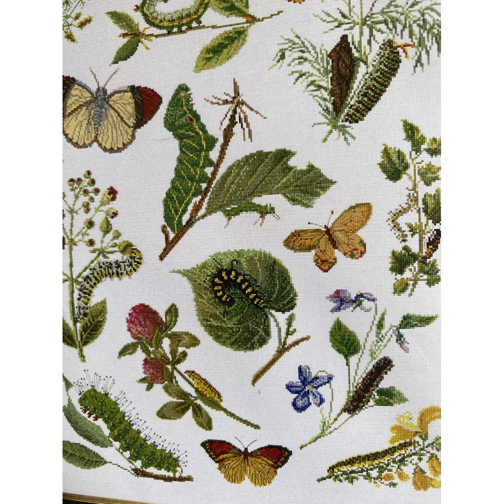 Thea Gouverneur 587  kit point croix compté  Chenilles  Papillons  4