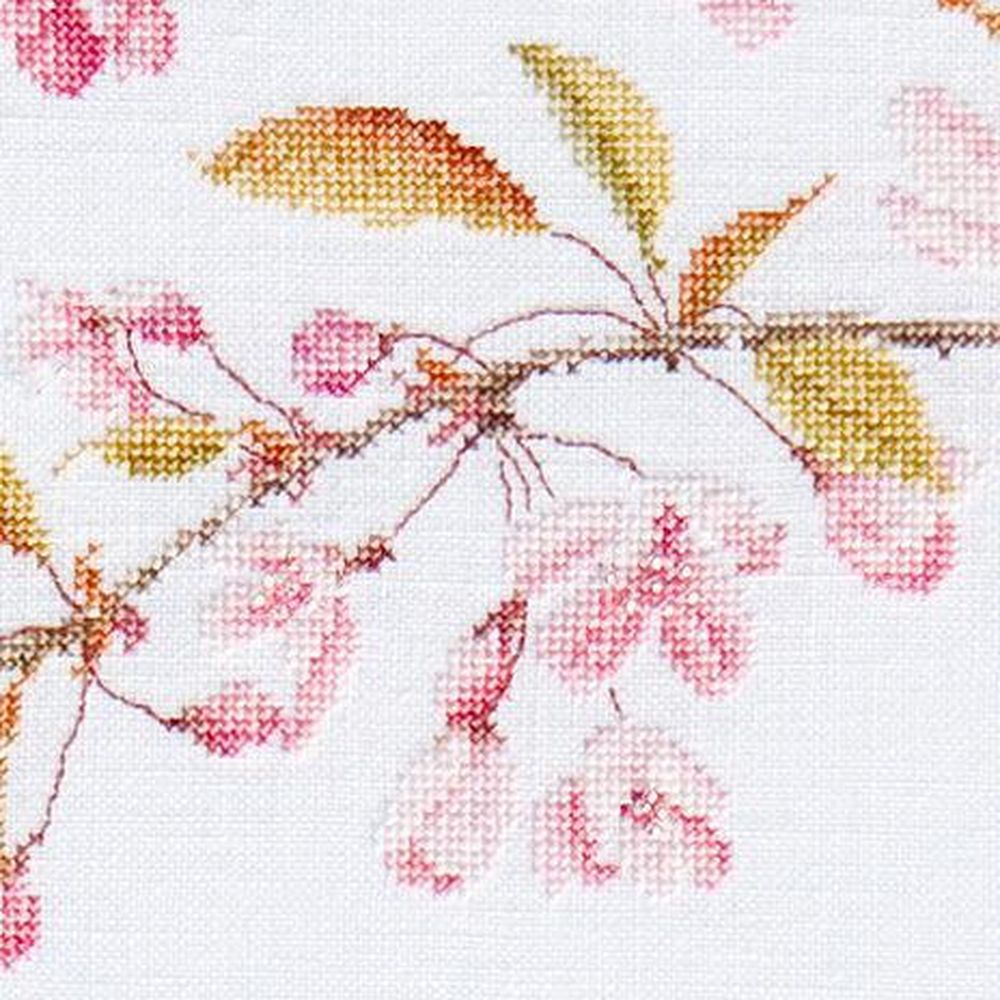 Thea Gouverneur  481  kit point croix  Prunus  4