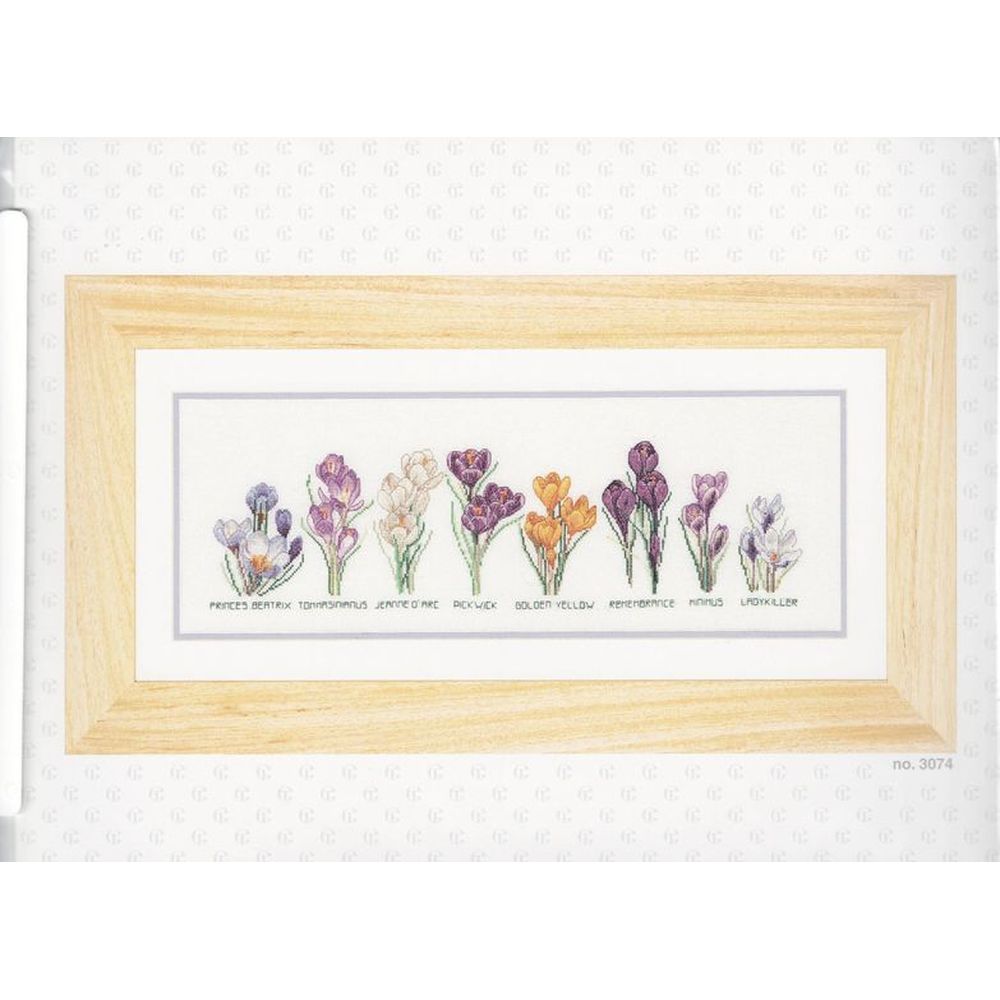 Thea Gouverneur 3074  kit point croix  Crocus  1