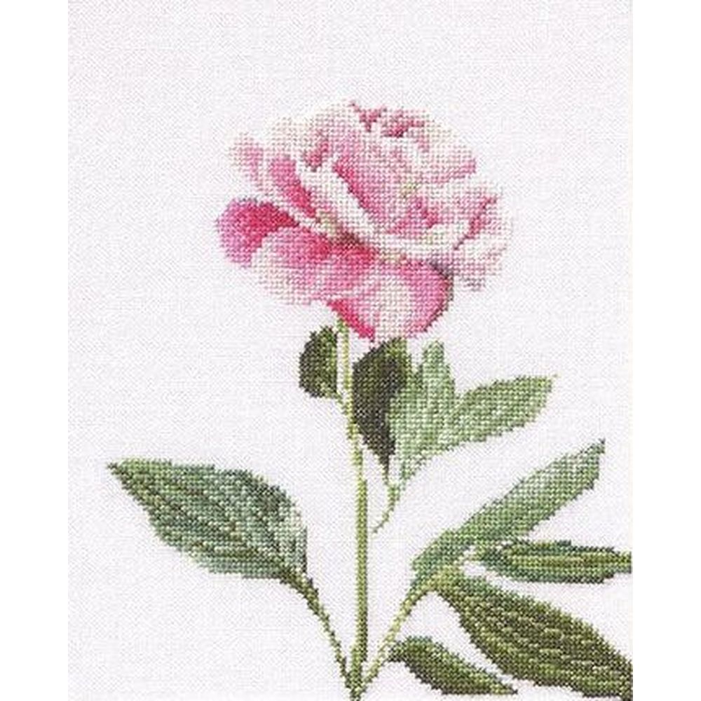 Thea Gouverneur 433  kit point croix  Pivoines  5