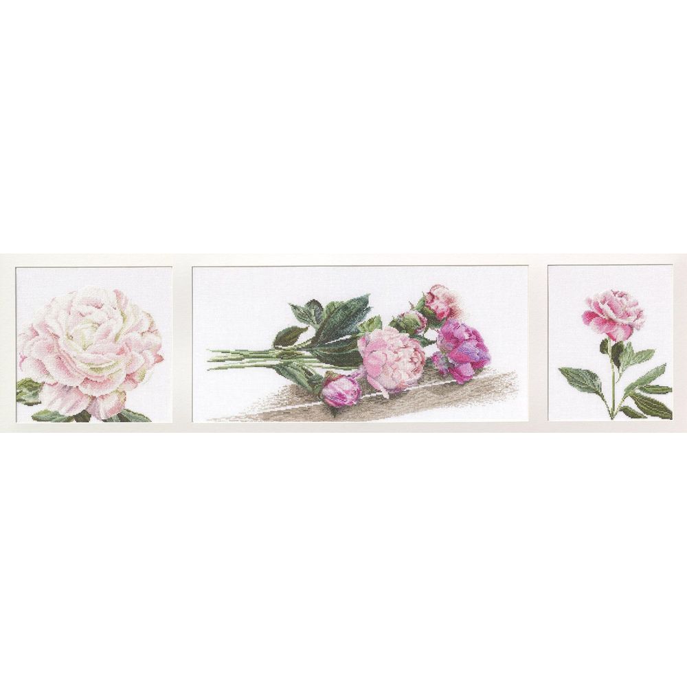 Thea Gouverneur 433  kit point croix  Pivoines  1