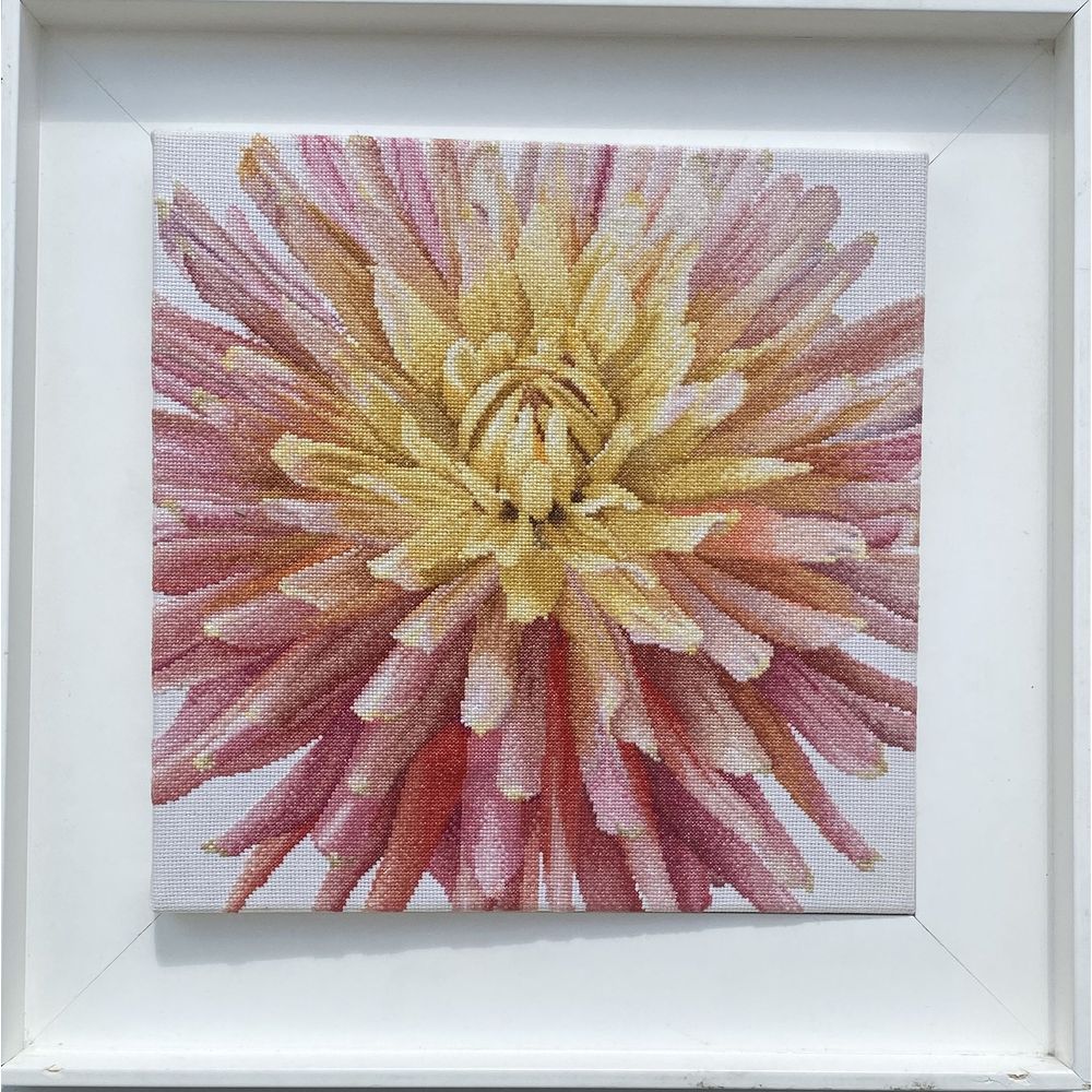 Thea Gouverneur 441  kit point croix compté  Dahlia  1