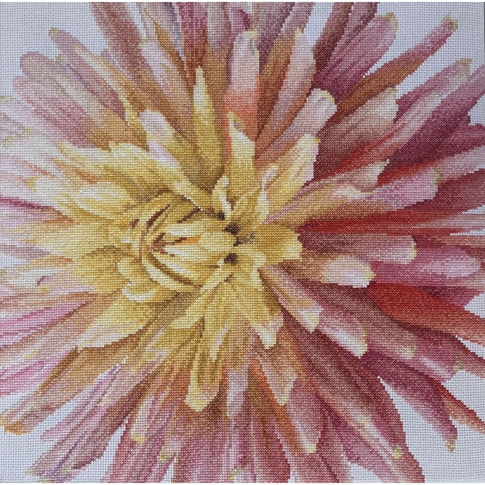 Thea Gouverneur 441  kit point croix compté  Dahlia
