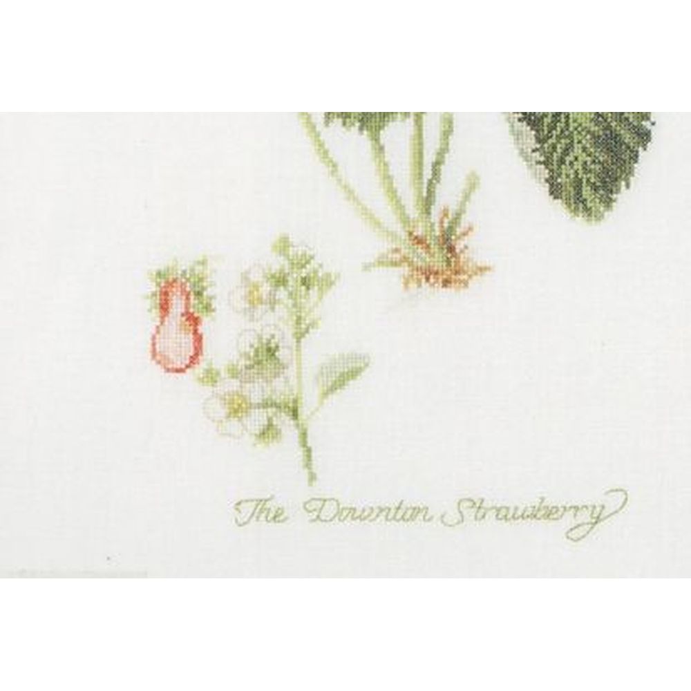 Thea Gouverneur 2085  kit point croix  Fraise  3