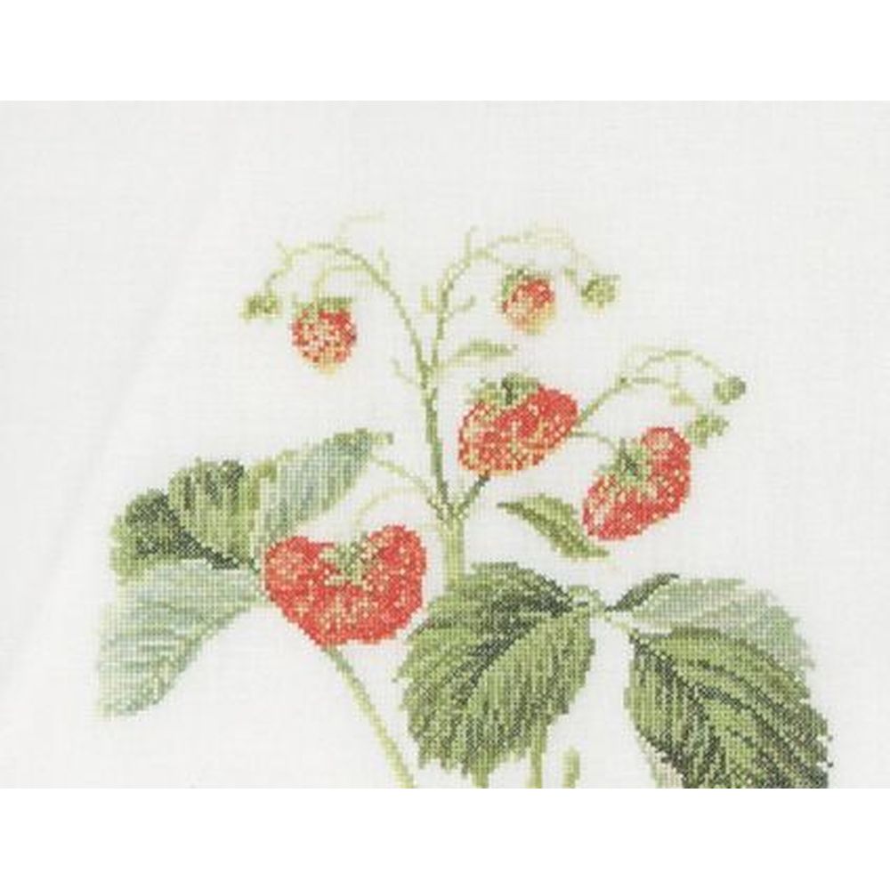 Thea Gouverneur 2085  kit point croix  Fraise  2