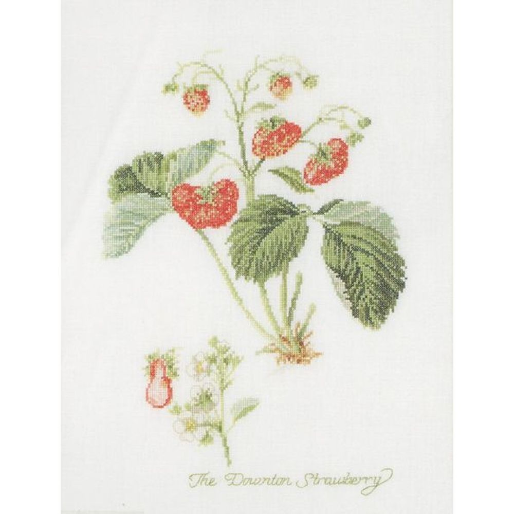 Thea Gouverneur 2085  kit point croix  Fraise
