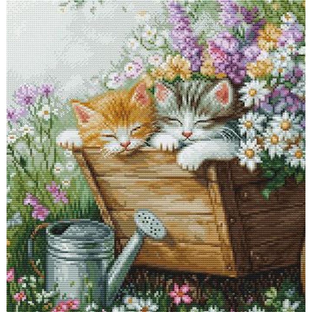 Luca-S BU5093  kit point croix  Le sommeil des chatons  3