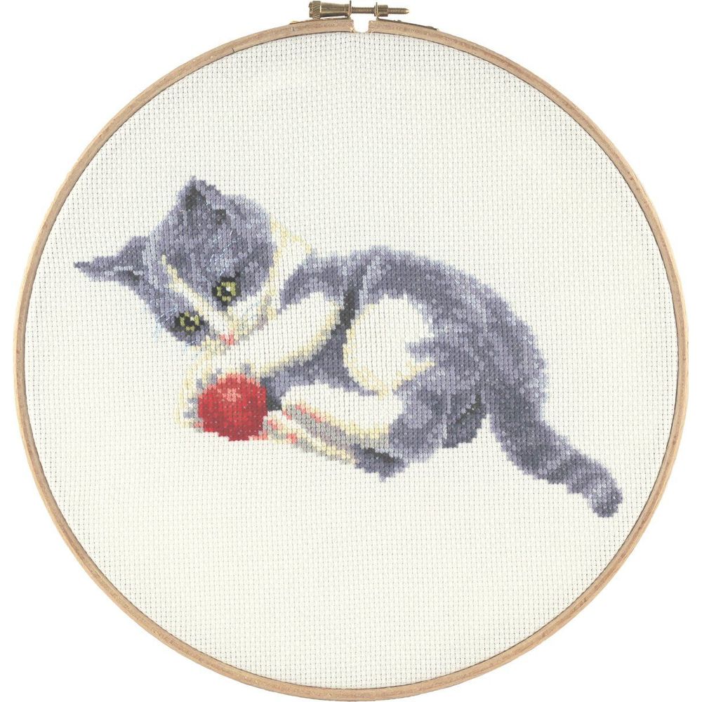 Cartes,carte de vœux up,carte de vœux chat,idéale pour les