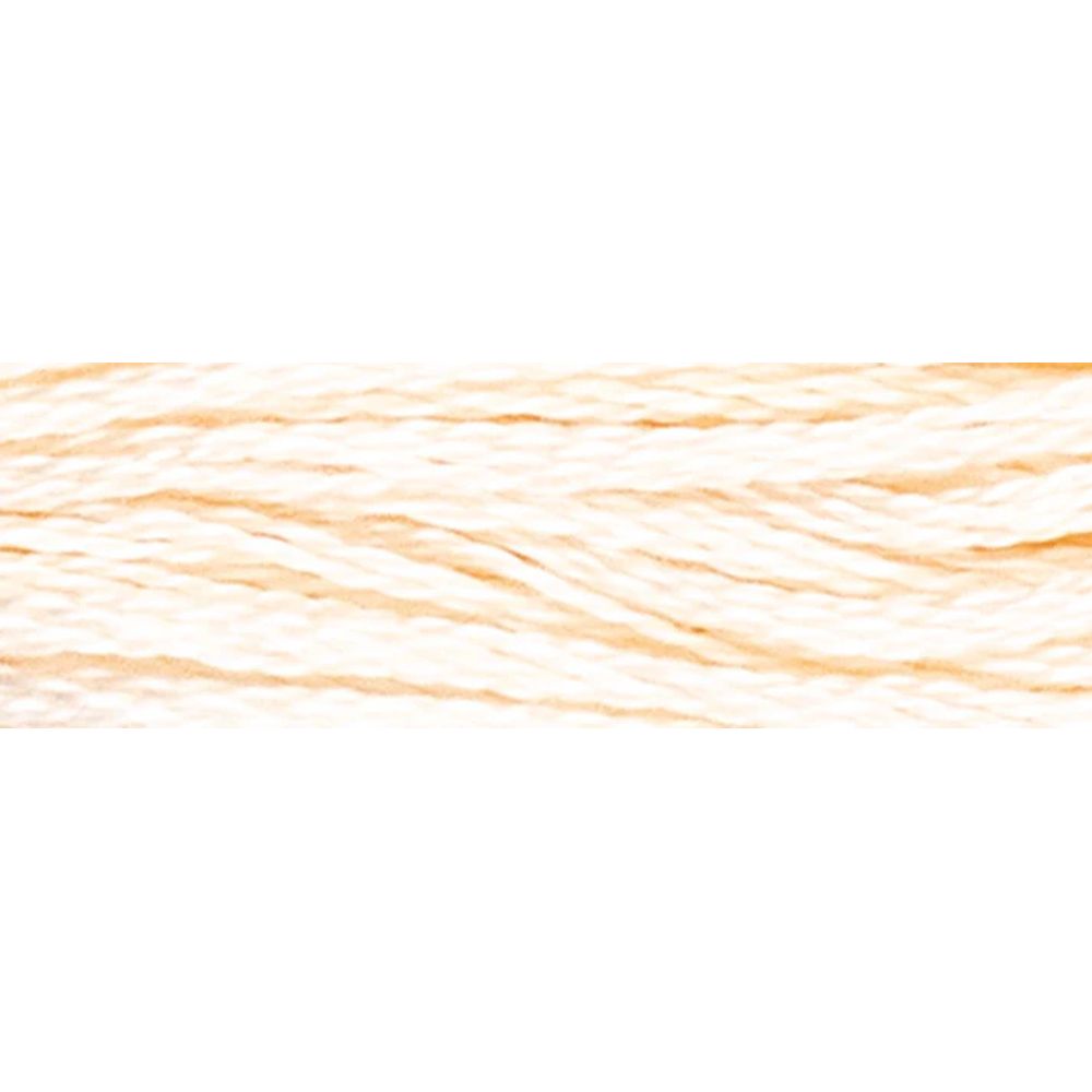 Fil à broder  coton mouliné  couleur 381  Luca-S  2