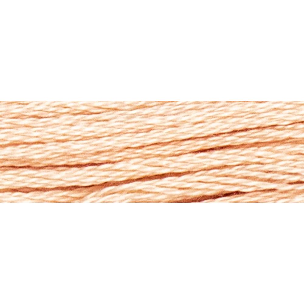 Fil à broder  coton mouliné  couleur 419  Luca-S  2