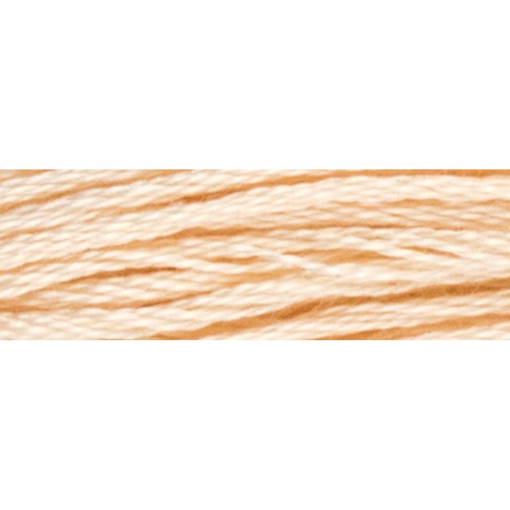 Fil à broder  coton mouliné  couleur 417  Luca-S  2