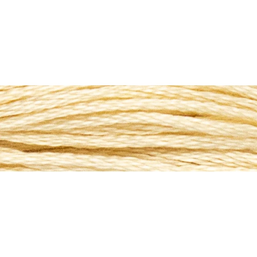 Fil à broder  coton mouliné  couleur 446  Luca-S  2
