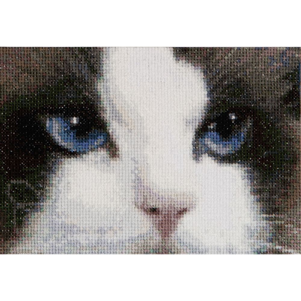 Thea Gouverneur 542  kit point de croix  Chats  2