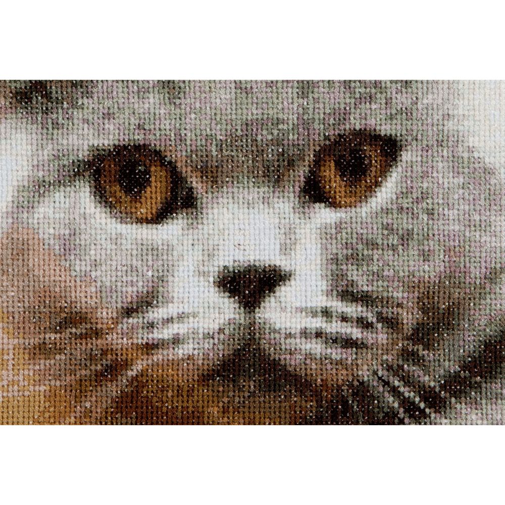 Thea Gouverneur 542  kit point de croix  Chats  1
