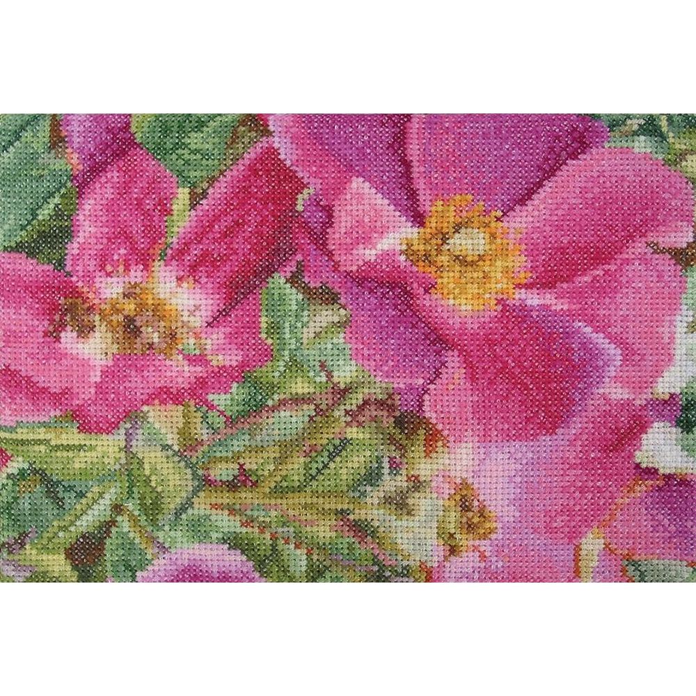 Thea Gouverneur 426  kit point de croix compté  Rosa Moyesii