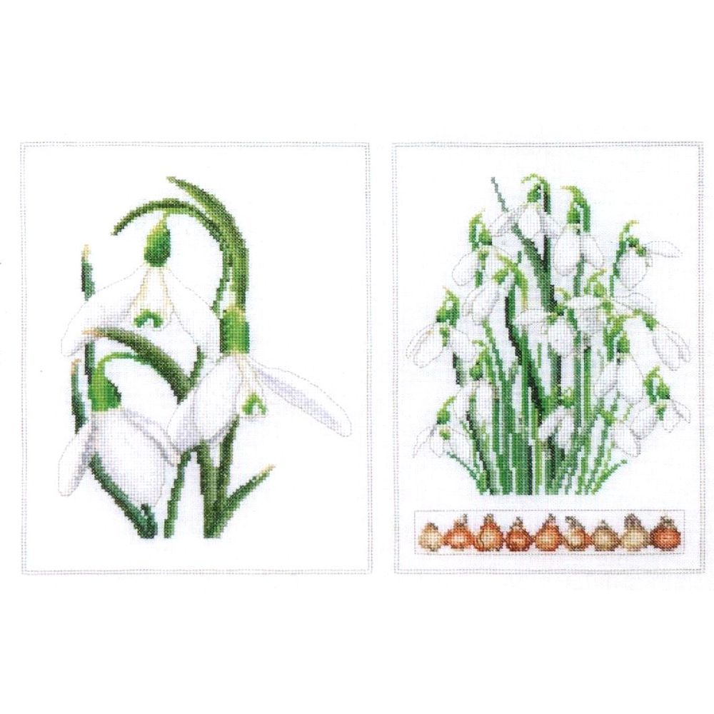 Thea Gouverneur 446  kit point croix compté  Galanthus