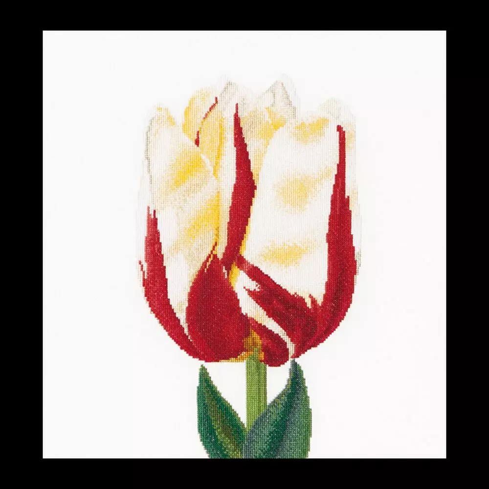 Thea Gouverneur 516  Tulipe  kit point croix